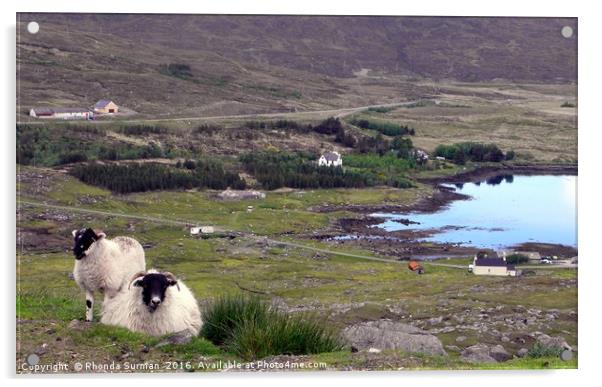 Harris Sheep at Loch Seaforth Acrylic by Rhonda Surman
