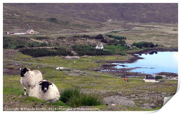 Harris Sheep at Loch Seaforth Print by Rhonda Surman