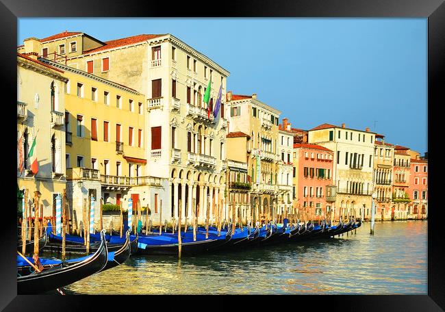     Venice Gondolas.                               Framed Print by Michael Oakes