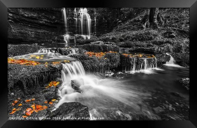 Scaleber Force Framed Print by Chris Willman