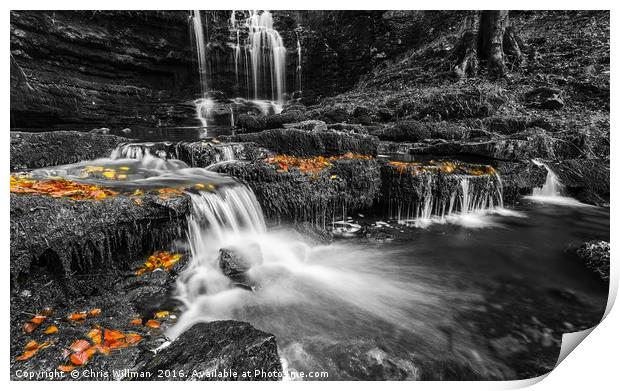 Scaleber Force Print by Chris Willman