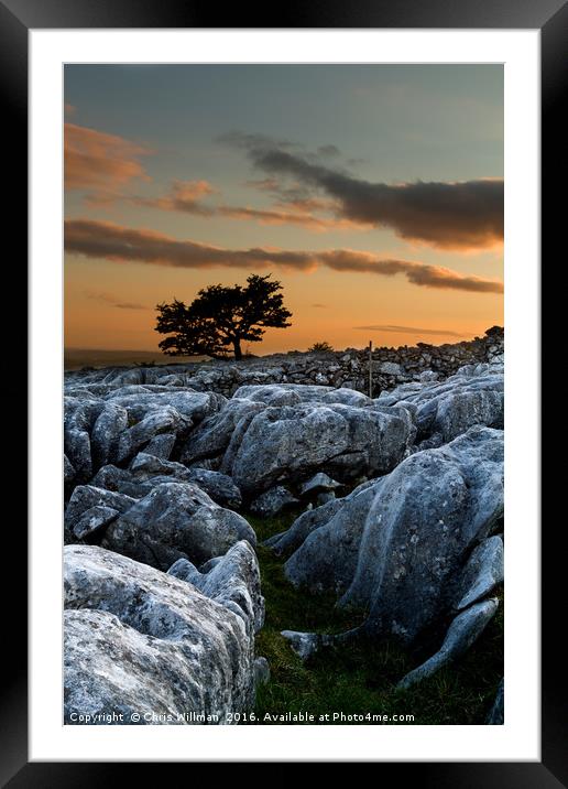 Lone Tree Sunset Framed Mounted Print by Chris Willman