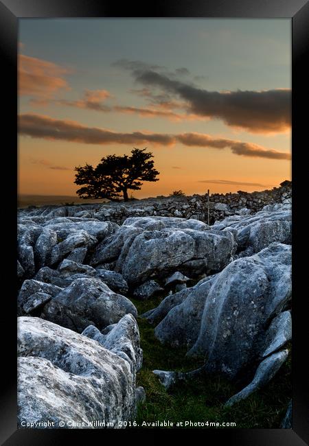 Lone Tree Sunset Framed Print by Chris Willman