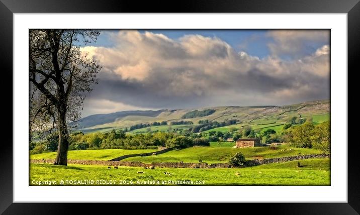 "EVENING LIGHT AND STORMY SKIES OVER WENSLEYDALE" Framed Mounted Print by ROS RIDLEY
