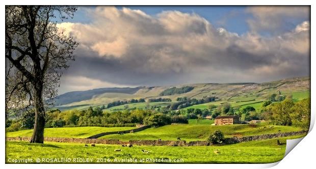 "EVENING LIGHT AND STORMY SKIES OVER WENSLEYDALE" Print by ROS RIDLEY
