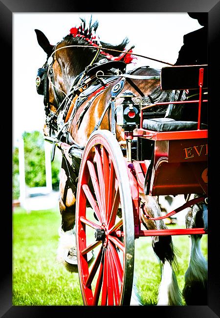 Horse & Carriage Framed Print by tony golding