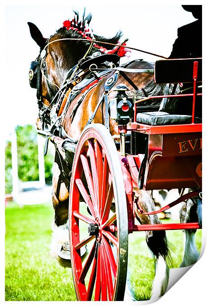 Horse & Carriage Print by tony golding