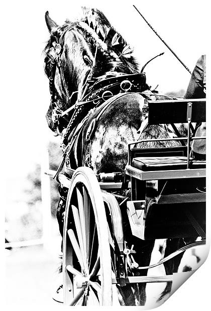 Black & White Horse & Carriage Print by tony golding
