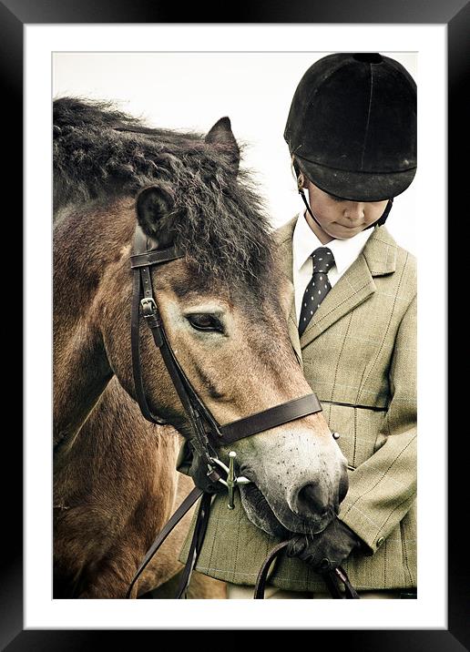 Exmoor Pony Framed Mounted Print by tony golding