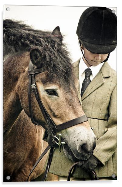 Exmoor Pony Acrylic by tony golding
