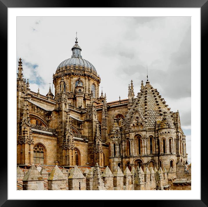 Cathedral of Salamanca Framed Mounted Print by Igor Krylov