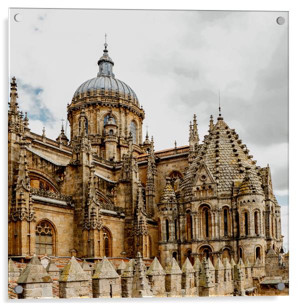 Cathedral of Salamanca Acrylic by Igor Krylov