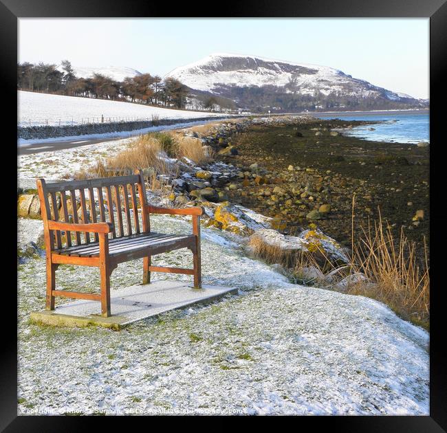 Have a seat ... enjoy the view Framed Print by Rhonda Surman