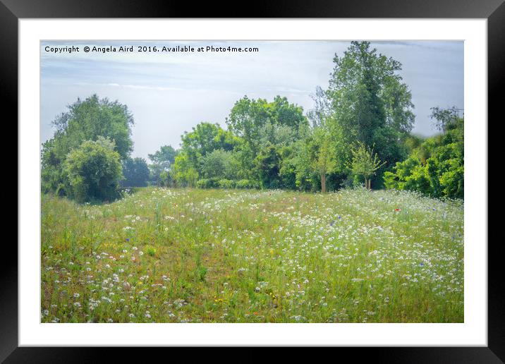 Meadow Framed Mounted Print by Angela Aird