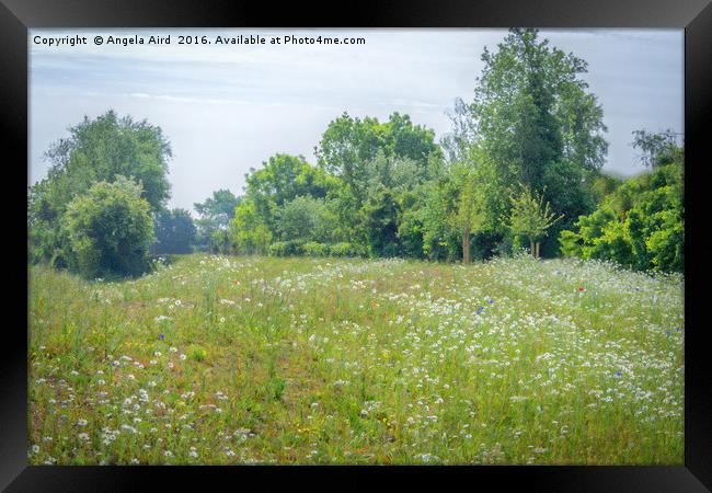 Meadow Framed Print by Angela Aird