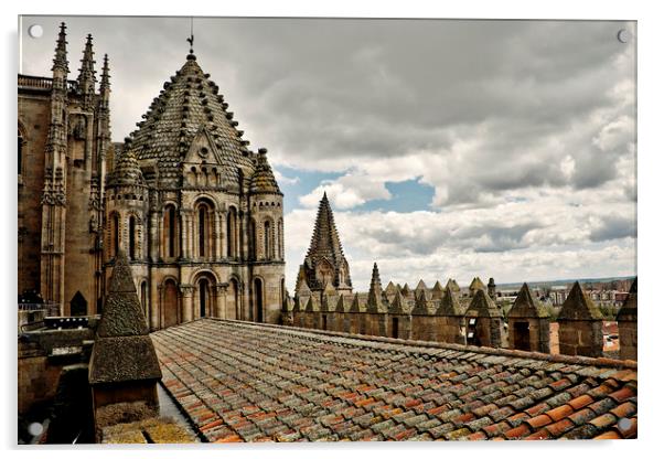  Cathedral in Salamanca Acrylic by Igor Krylov