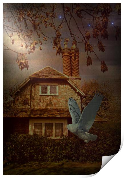 The Wise Woman's Cottage. Print by Heather Goodwin