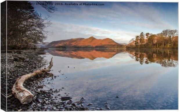 Derwent Water Reflection Canvas Print by Tony Sharp LRPS CPAGB