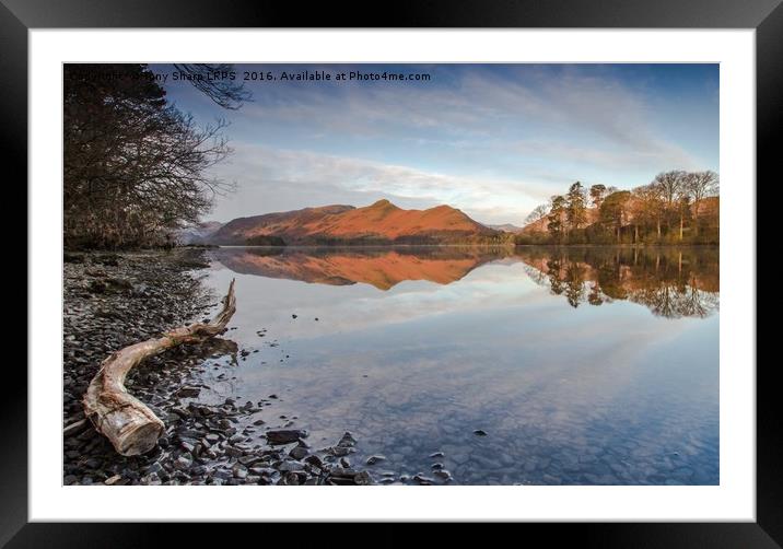 Derwent Water Reflection Framed Mounted Print by Tony Sharp LRPS CPAGB