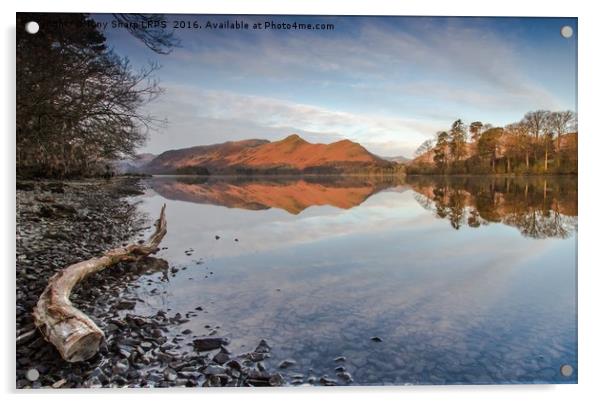 Derwent Water Reflection Acrylic by Tony Sharp LRPS CPAGB