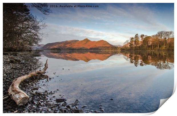 Derwent Water Reflection Print by Tony Sharp LRPS CPAGB