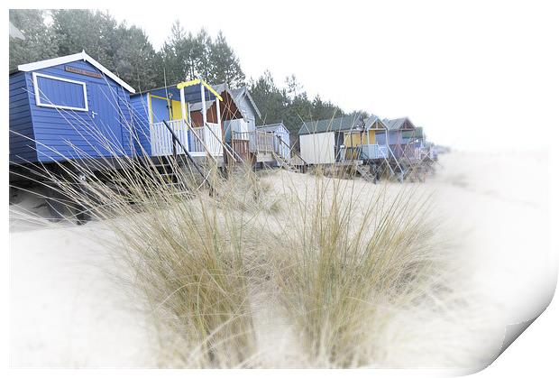 Beach huts and Pampas Grass Print by Stephen Mole