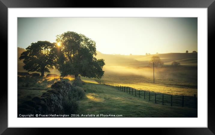 Misty Morning in Perthshire Framed Mounted Print by Fraser Hetherington