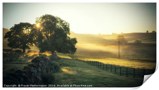 Misty Morning in Perthshire Print by Fraser Hetherington
