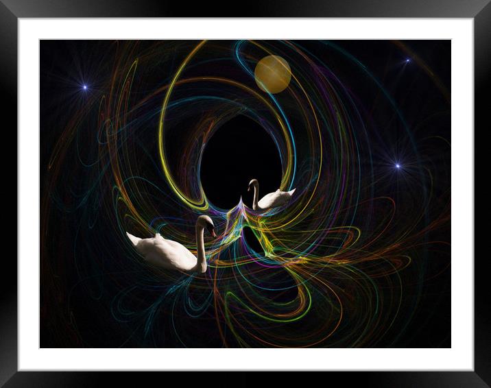 Swan Songs. Framed Mounted Print by Heather Goodwin