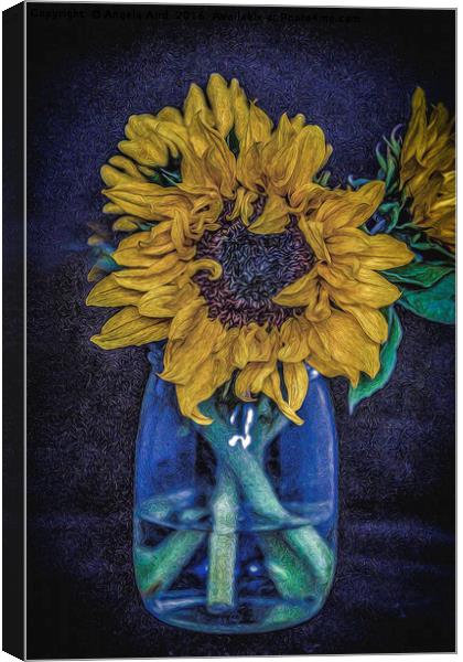 Sunflower Canvas Print by Angela Aird
