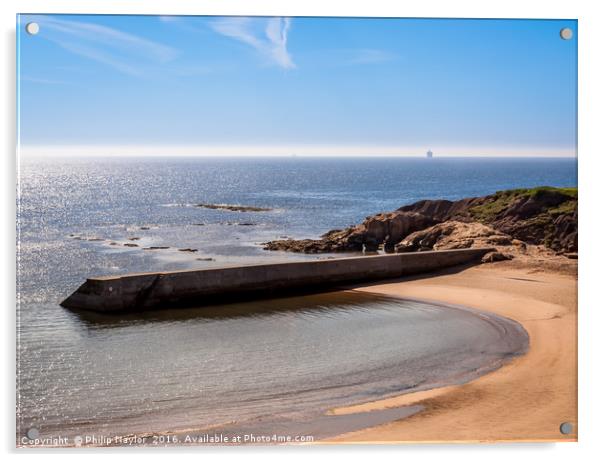 Calm at Cullercoats Bay......... Acrylic by Naylor's Photography