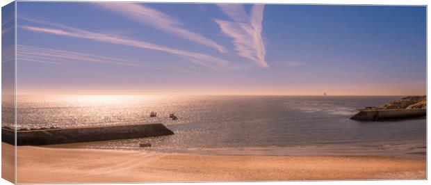 Lazy Days at Cullercoats........... Canvas Print by Naylor's Photography