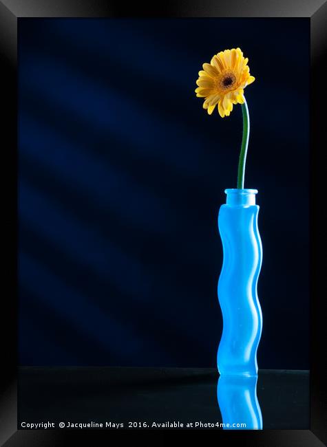 Blue Vase Framed Print by Jacqueline Mays