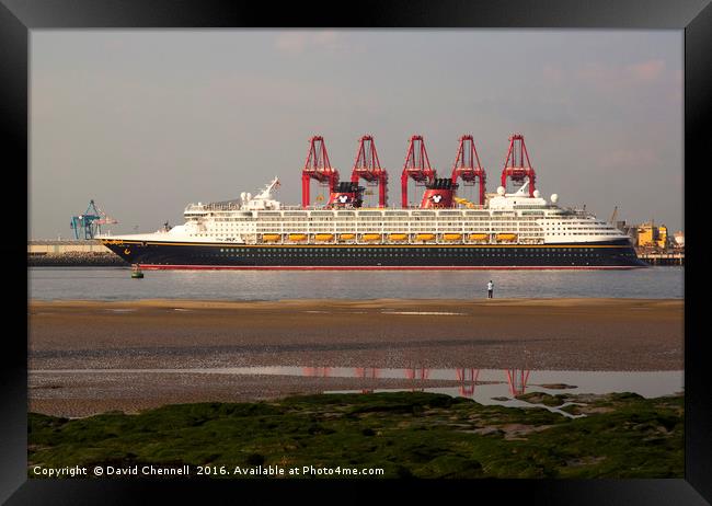 Disney Magic Cruise Liner   Framed Print by David Chennell