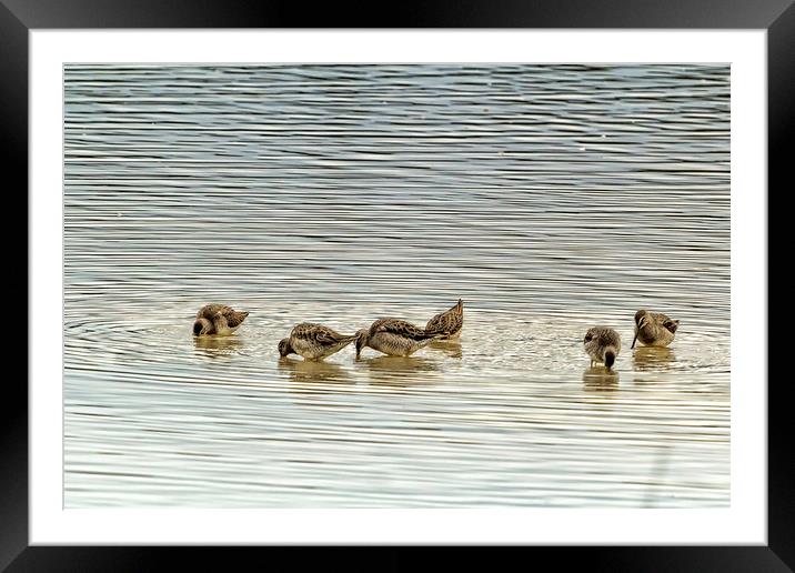 Even the Smallest of Us Can Cause Ripples Framed Mounted Print by Belinda Greb