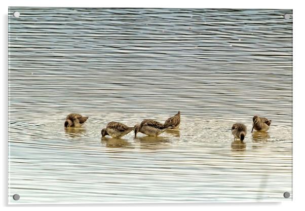 Even the Smallest of Us Can Cause Ripples Acrylic by Belinda Greb