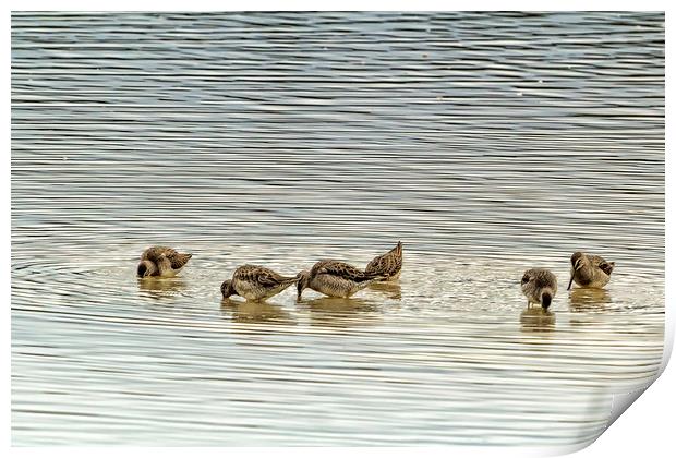 Even the Smallest of Us Can Cause Ripples Print by Belinda Greb