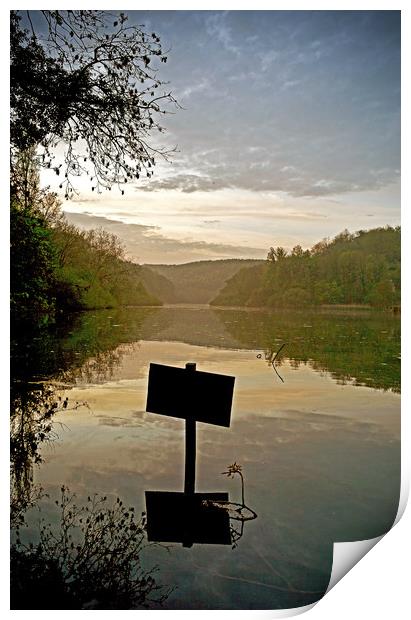 Swanbourne Lake Print by graham young