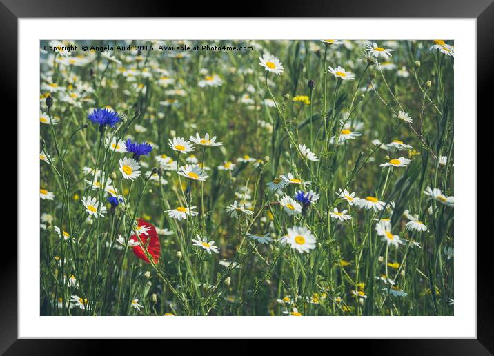 Lone Poppy Framed Mounted Print by Angela Aird