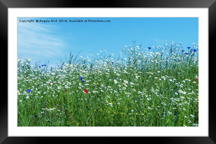 Springtime Framed Mounted Print by Angela Aird
