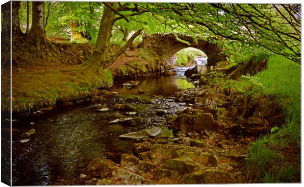 Robbers Bridge Canvas Print by graham young
