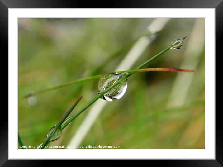Reflections on a water droplet Framed Mounted Print by Rhonda Surman