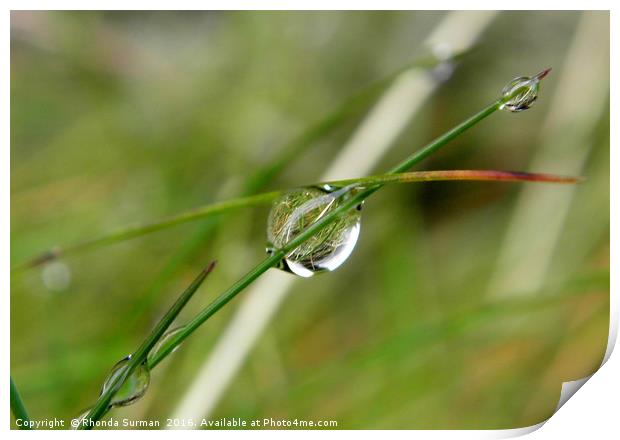 Reflections on a water droplet Print by Rhonda Surman