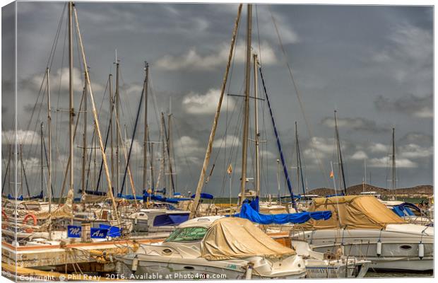 In the marina Canvas Print by Phil Reay