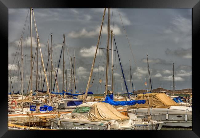 In the marina Framed Print by Phil Reay