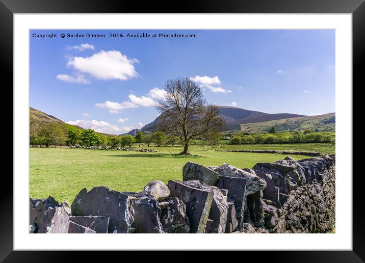 A Lone Tree in Field with Slate Walls in Snowdonia Framed Mounted Print by Gordon Dimmer