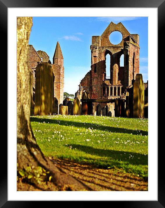 Summer Sun On Arbroath Abbey. Framed Mounted Print by Aj’s Images
