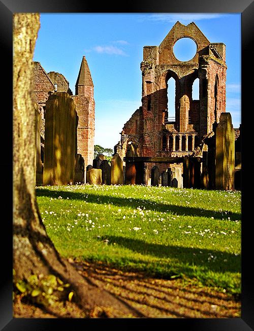 Summer Sun On Arbroath Abbey. Framed Print by Aj’s Images