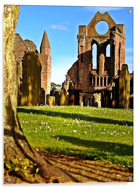 Summer Sun On Arbroath Abbey. Acrylic by Aj’s Images