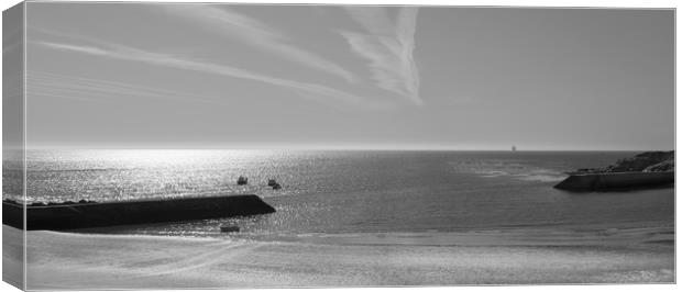 Lazy Days at Cullercoats in mono........... Canvas Print by Naylor's Photography